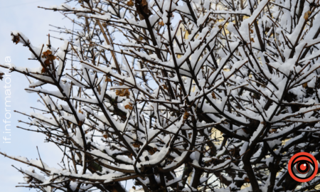 Свята 29 листопада