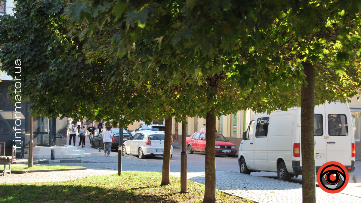 озеленення ІФ