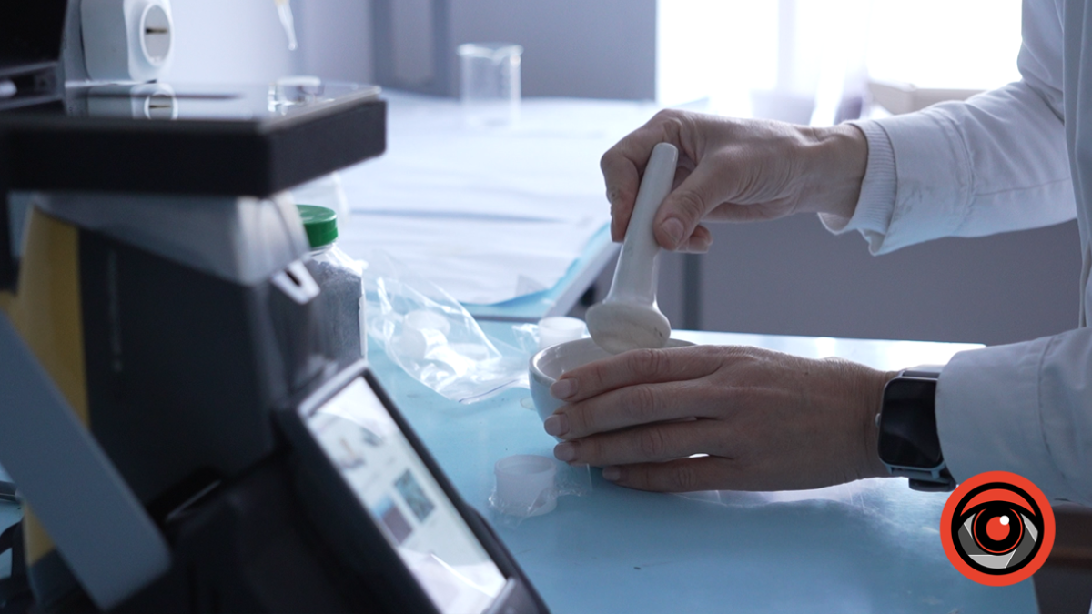 Теплиці, де вирощують агропродукцію