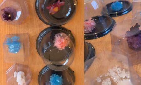 «Це була подорож у світ науки»: як на Калущині ліцеїсти вирощували кристали