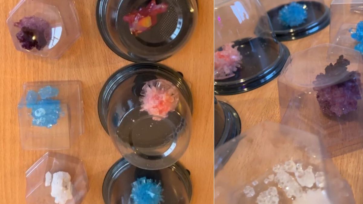 «Це була подорож у світ науки»: як на Калущині ліцеїсти вирощували кристали