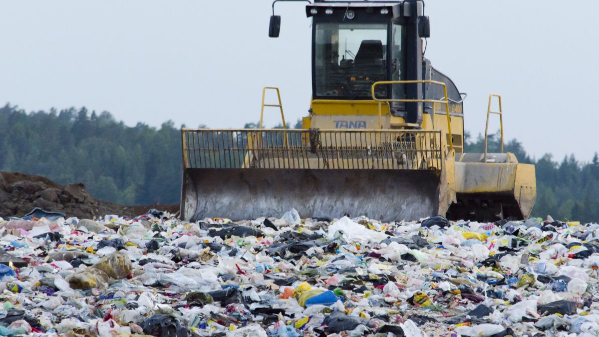 5 гектарів мусорного звалища, замість дозволених 2,02 га: на Франківщині виявили порушення