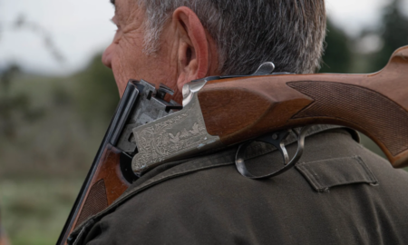 У Лисецькій селищній раді пояснили причину відстрілу диких тварин на території громади