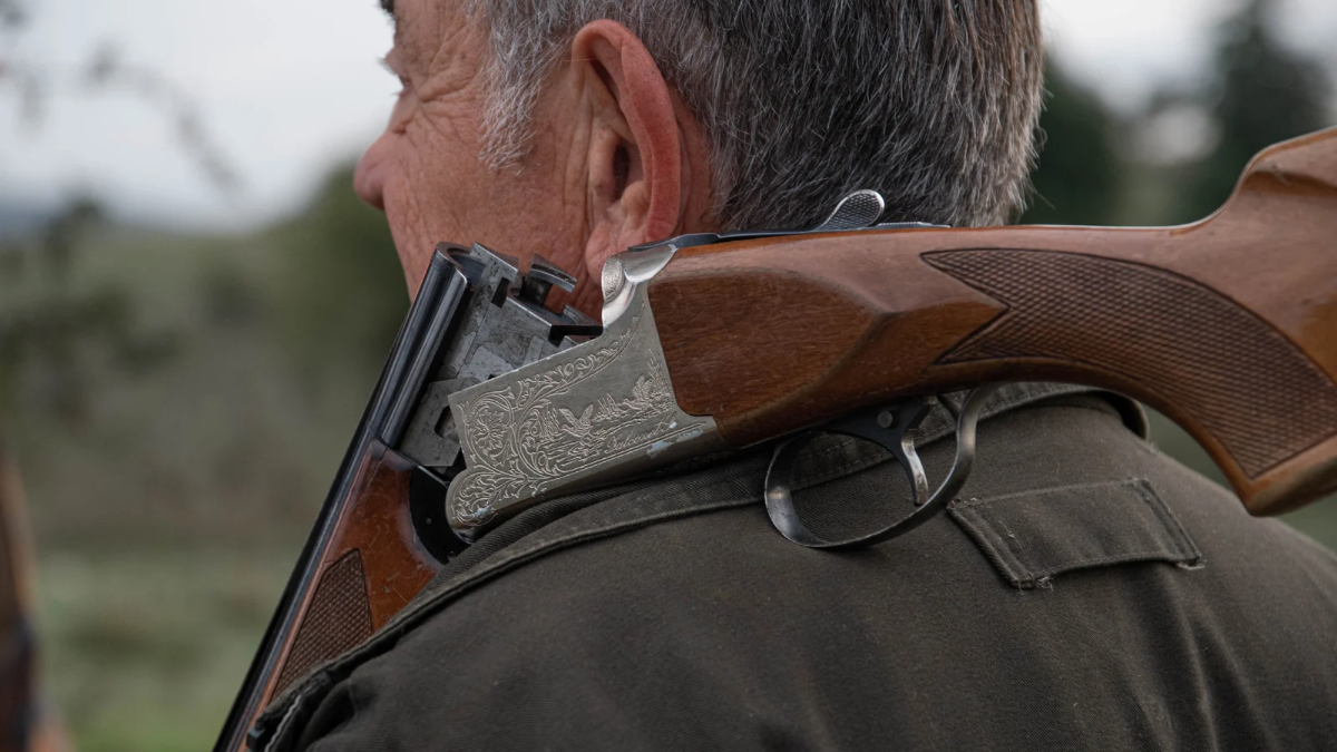 У Лисецькій селищній раді пояснили причину відстрілу диких тварин на території громади