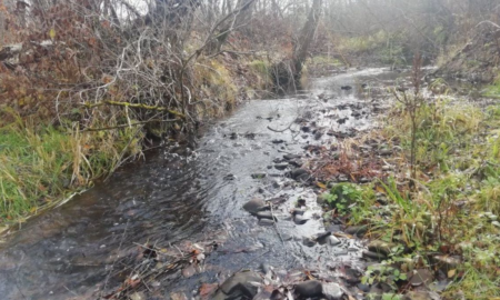 річка Лучава