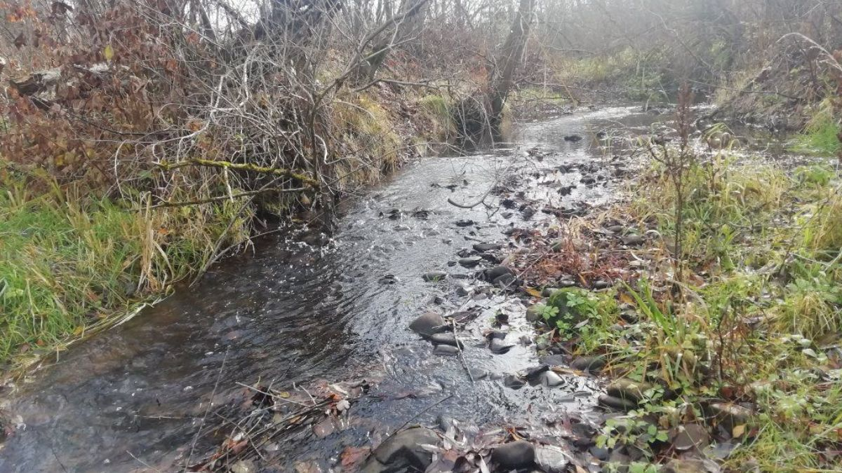 річка Лучава