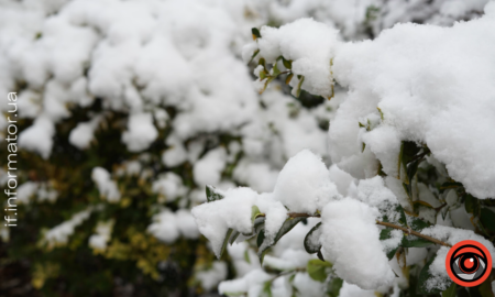 Погода у Франківську 1 грудня