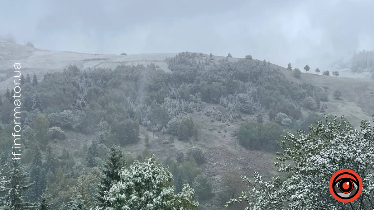 Погода 12 листопада