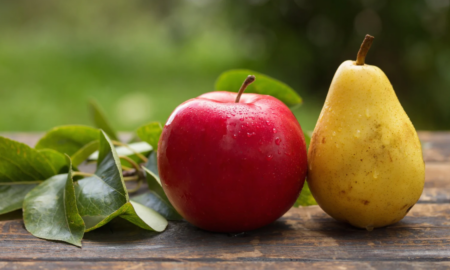 Яблука і груші
