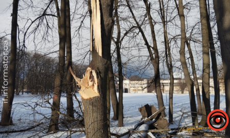 Наслідки негоди у парку Шевченка в Івано-Франківську