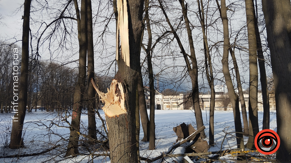 Наслідки негоди у парку Шевченка в Івано-Франківську