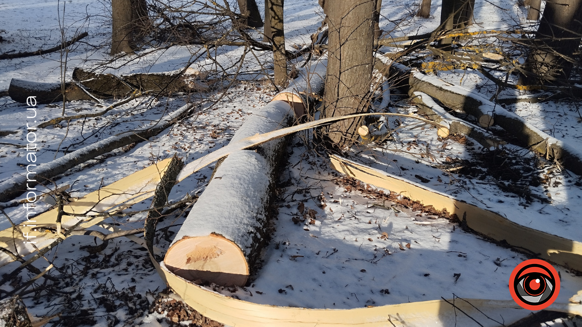 Наслідки негоди у парку Шевченка в Івано-Франківську