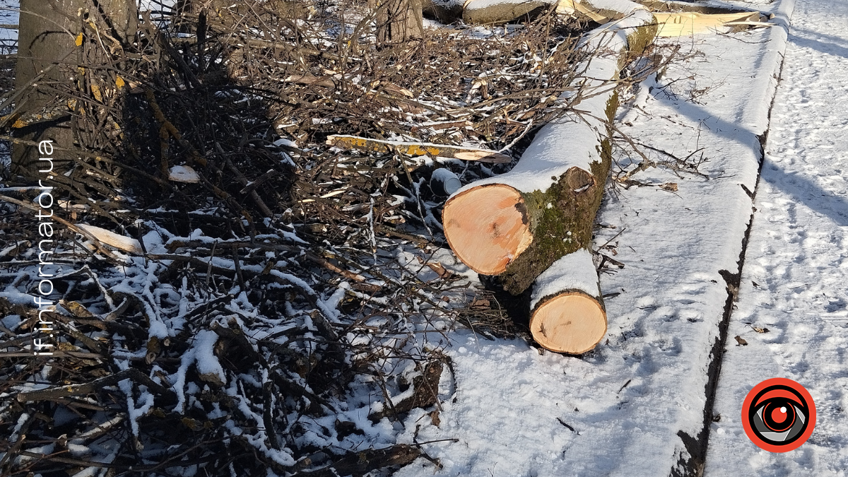 Наслідки негоди у парку Шевченка в Івано-Франківську