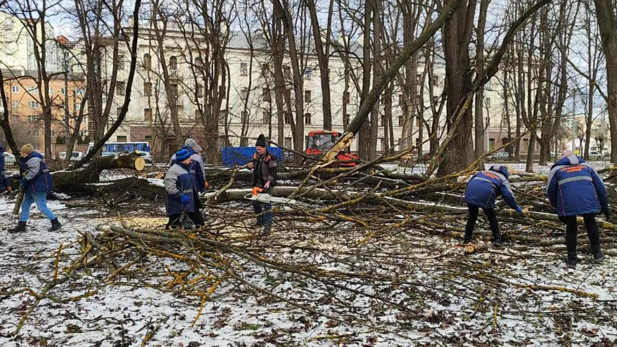 Ліквідація наслідків негоди в Івано-Франківську. Фото: Центр розвитку міста та рекреації
