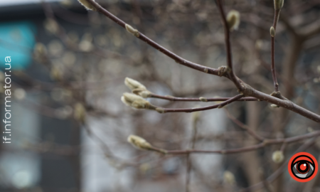 Погода 14 грудня