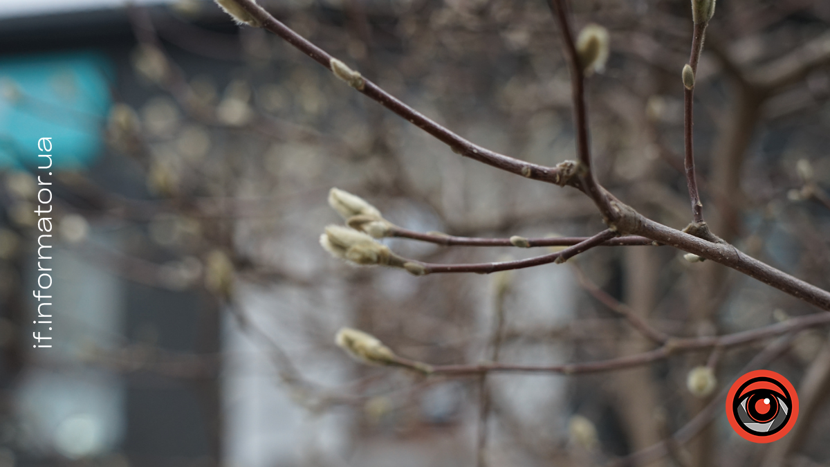 Погода 14 грудня