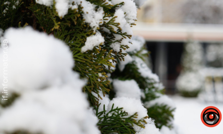 Свята 2 грудня