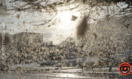 Свята 26 грудня