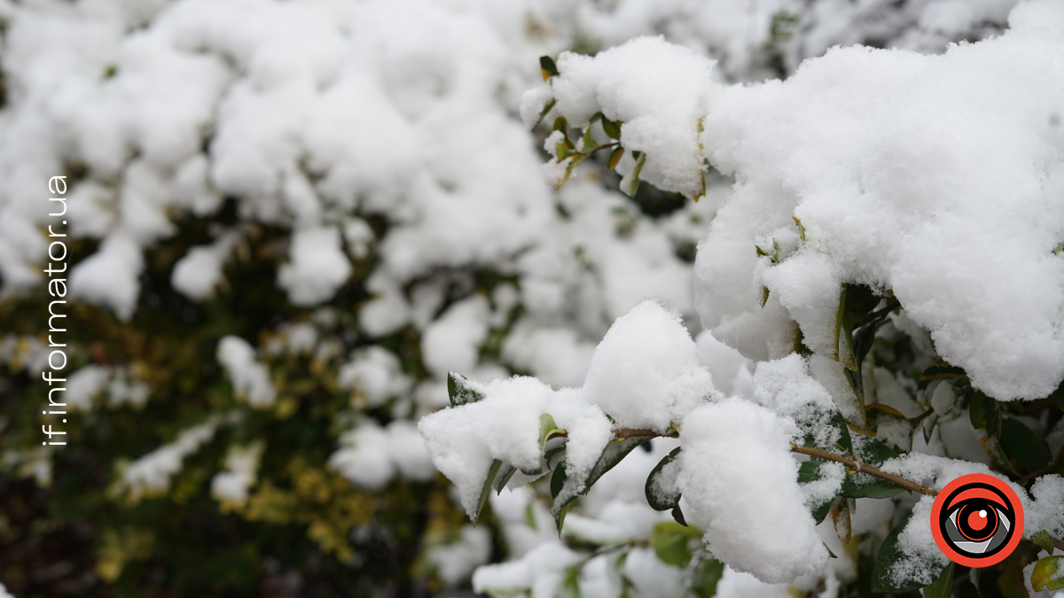 Свята 5 грудня