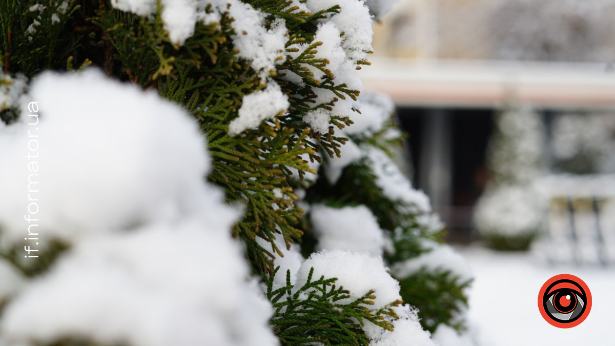 Свята 8 грудня