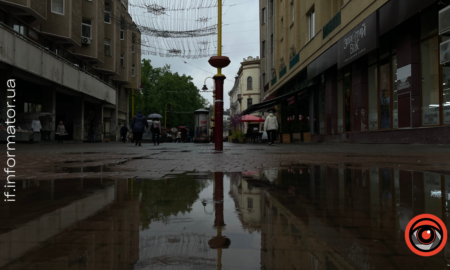 свята 10 грудня