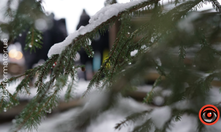 Свята 11 грудня