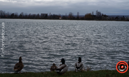 Погода Франківськ