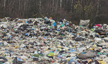 Сміттєзвалище на Прикарпатті