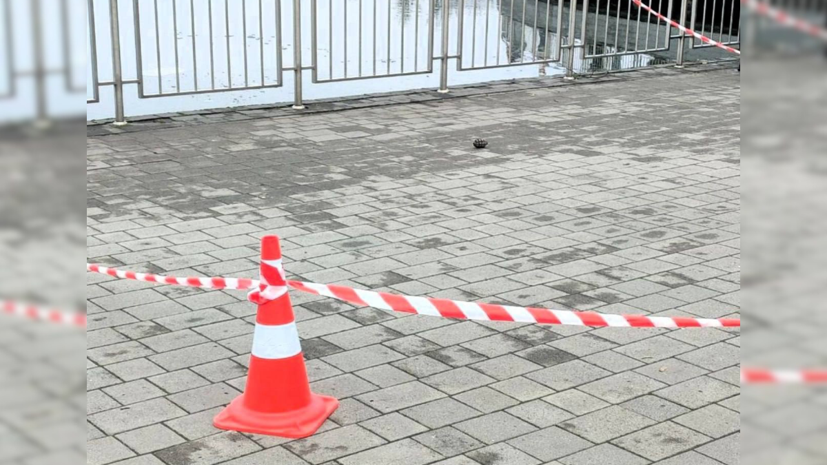 Ймовірно, граната