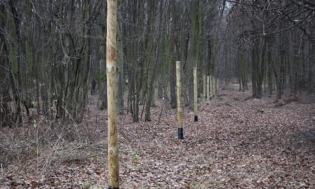 У Галицькому національному природному парку розпочали будівництво нового вольєра для диких тварин