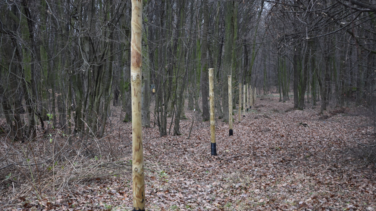 У Галицькому національному природному парку розпочали будівництво нового вольєра для диких тварин