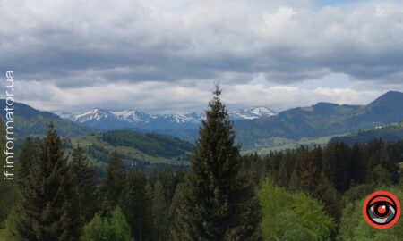 На Прикарпатті повернули незаконно привласнену ділянку природно-заповідного фонду