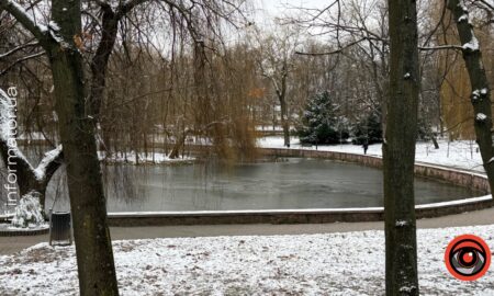 Ожеледиця та поривчастий вітер очікуються на Франківщині 27 грудня