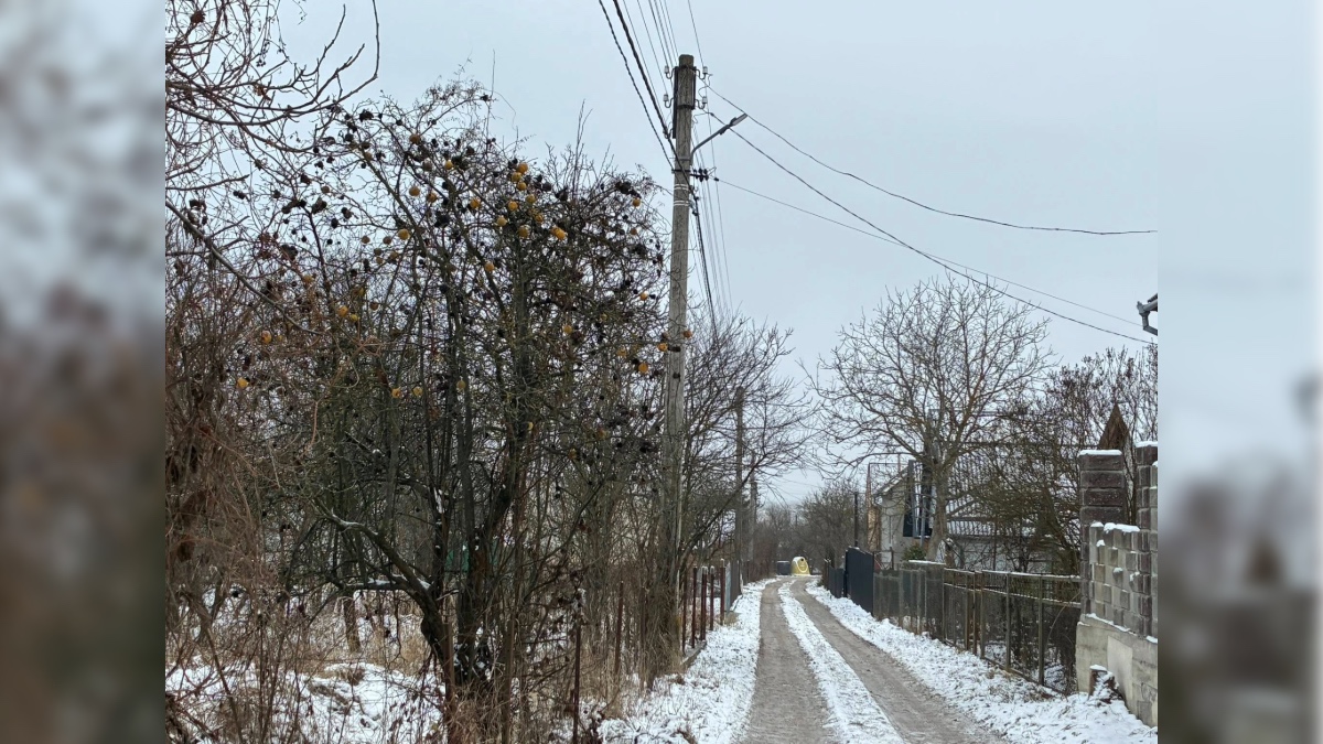 У садовому товаристві «Ветеран» у Франківську облаштували зовнішнє освітлення