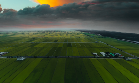 В Івано-Франківській громаді планують продати десять ділянок комунальної власності