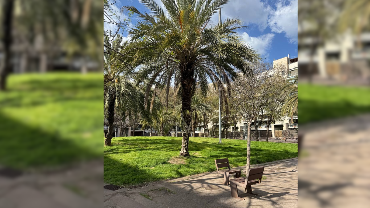 Інтерв'ю з урбаністкою Іриною Чолій