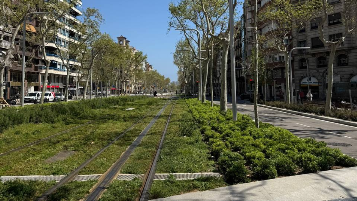 Інтерв'ю з урбаністкою Іриною Чолій