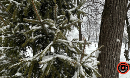 Свята 30 січня