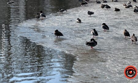 свята 11 січня