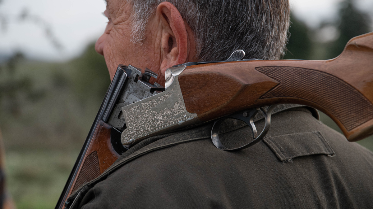 відстріл хижаків