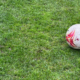 футбольний мʼяч