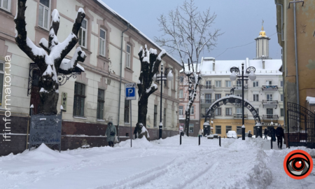 прогноз погоди 19 січня на Прикарпатті