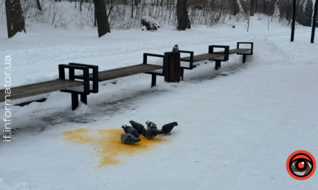 Невеликий сніг: прогноз погоди на Прикарпатті на 23 січня