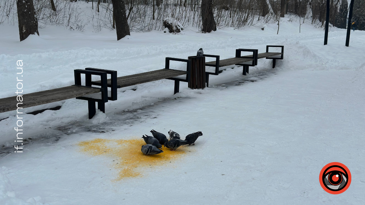 Невеликий сніг: прогноз погоди на Прикарпатті на 23 січня