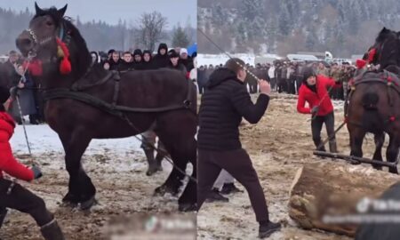 За фактом жорстокого поводження з тваринами на Прикарпатті відкрили кримінальне провадження
