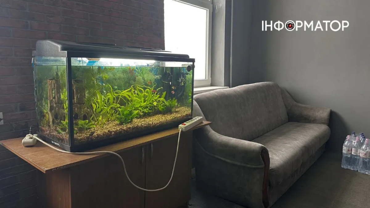 Пункт незламності