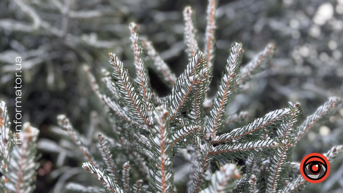 Невеликий мокрий сніг та дощ: погода на Прикарпатті 26 січня