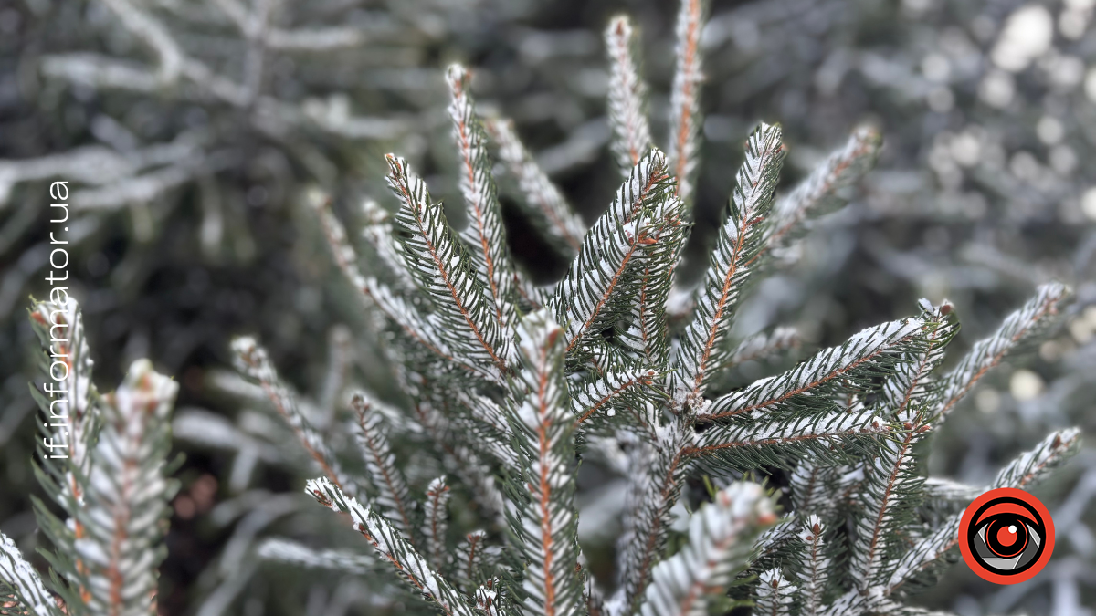 Свята 14 лютого