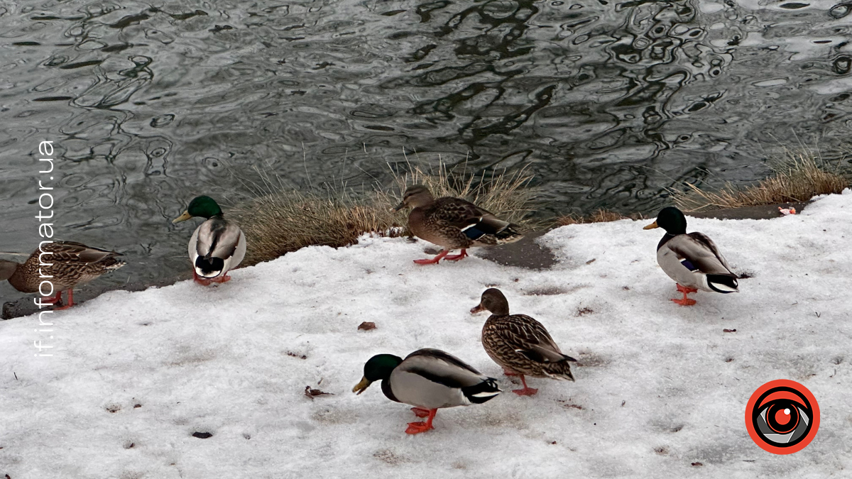 Свята 19 лютого