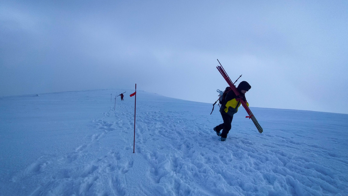 На маршруті від спортбази «Заросляк» до вершини Говерли встановили зимове маркування.